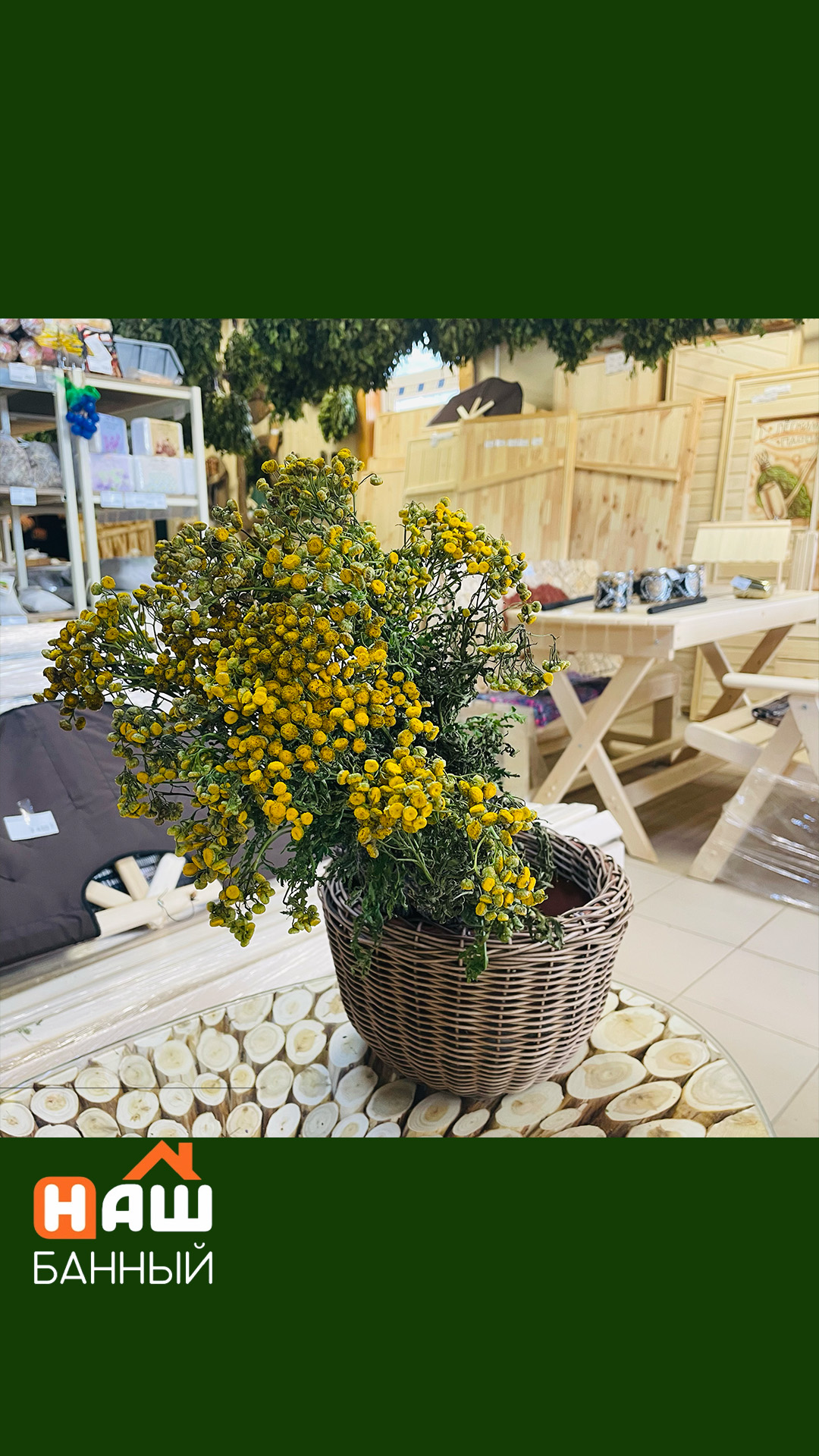 Трава для бани пижма